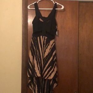 High-low zebra print dress.